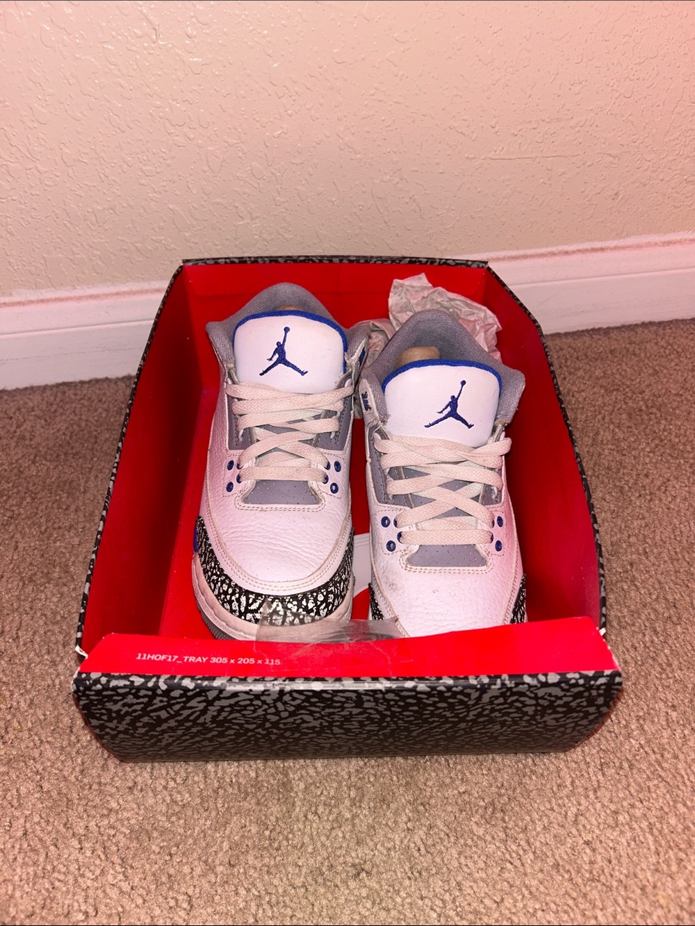 Jordan White and Blue Retro Sneakers